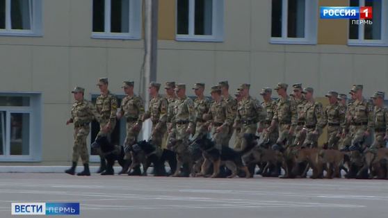 Кинологи Росгвардии отметили юбилей в Перми