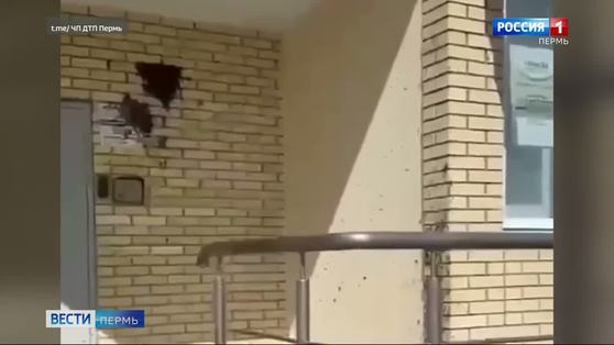 В Перми роятся пчёлы