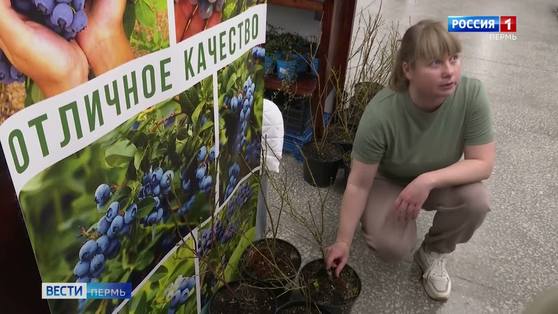 «Дача. Сад. Огород» - ярмарка для опытных садоводов и новичков