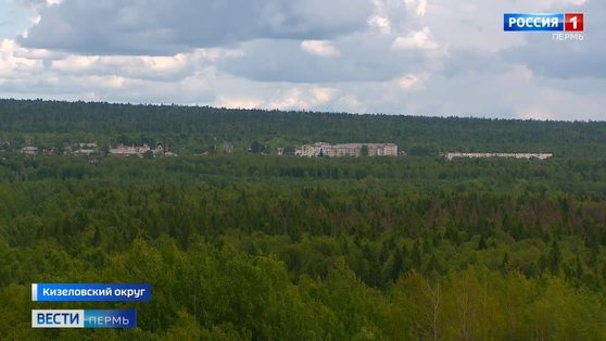 Пропавший в Кизеле 6-летний мальчик найден живым в лесу