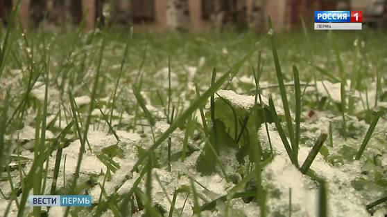 Синоптики: в четверг в Прикамье может выпасть снег