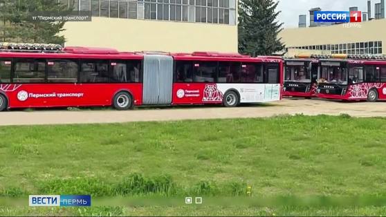 В Пермь отправят новую партию автобусов-гармошек