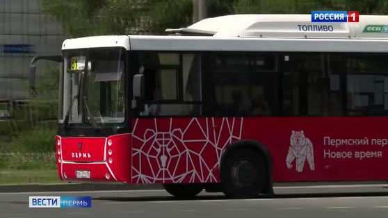 В Перми изменится расписание нескольких автобусных маршрутов 