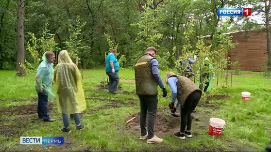 В День эколога в Балатовском парке высадили 18 декоративных яблонь