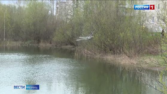Власти прокомментировали ситуацию с Новокрымским прудом