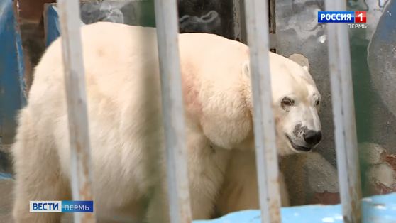 1 мая Пермский зоопарк откроет летний сезон