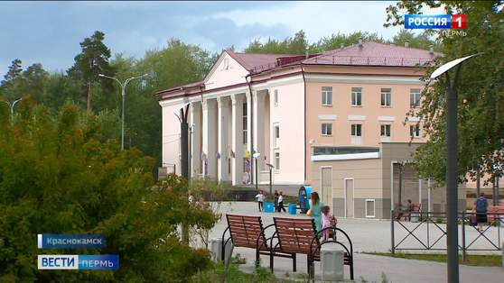 Жительница Краснокамска получила компенсацию за упавшее на голову дерево