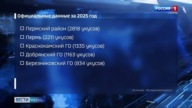 news-details