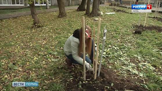 В Пермском крае появятся «Сады памяти»