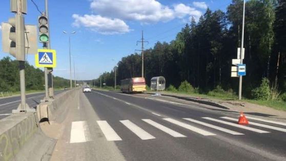 В Перми автобус насмерть сбил пенсионерку