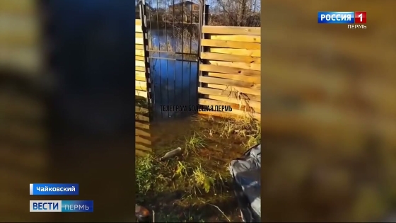 В Чайковском пруд вновь вышел из берегов