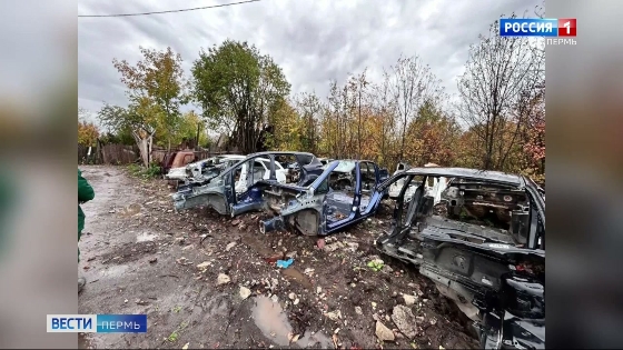 Росприроднадзор обнаружил мусорные завалы в Перми
