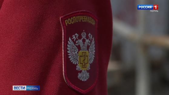 Роспотребнадзор: за сутки в России выявлено 500 новых случаев заболевания коронавирусом