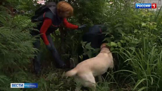 В Пермском крае планируют создать ресурсный центр для поддержки волонтёров