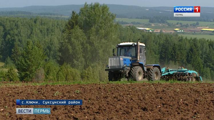 Хозяйства пермского края. Сельское хозяйство Ординского района Пермского края. Кунгурский район сельское хозяйство. Растениеводство в Пермском крае. Сельхоз в Пермском крае.