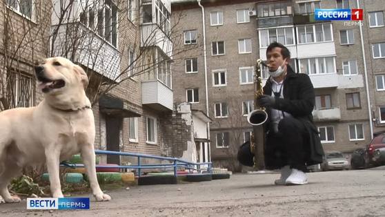 Режим самоизоляции: пермский саксофонист устраивает концерты для соседей 