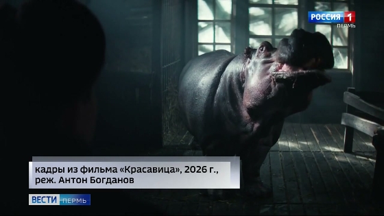 В Перми состоялся предпремьерный показ нового российского фильма "Красавица"