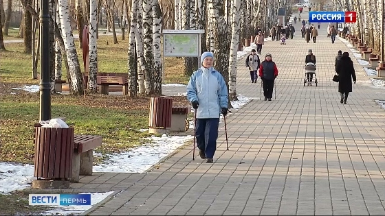 Сад Миндовского пока открыт для прогулок