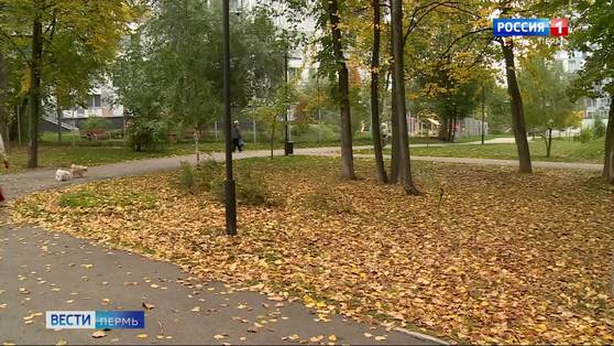 В Пермском крае должно немного потеплеть
