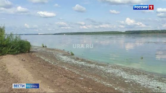На берегу Камы замечены странные белесые отложения