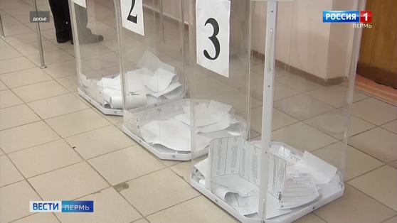 Поправки в Конституцию: акцент сделают на голосовании на дому 