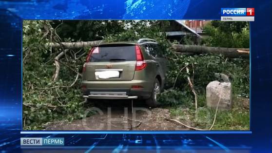 Налетели ветры злые: первые последствия мощного шквала в Перми