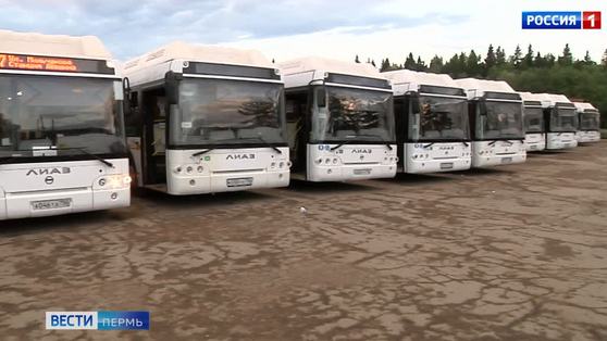 Ревизоры  ранним утром проверили пермские автобусы