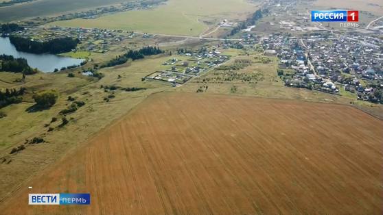 Земля для многодетных: пермский застройщик подарил городу участок в 12 га