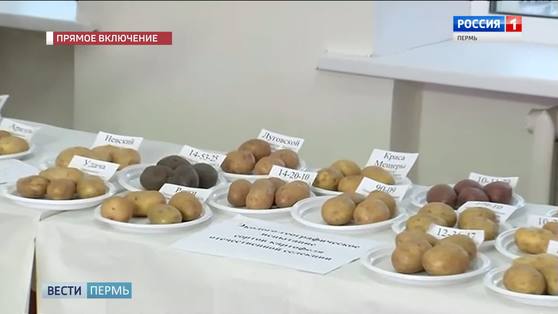 В Пермь с рабочим визитом прибывает министр науки и высшего образования России