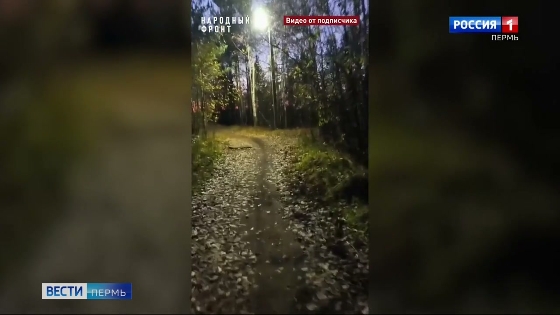В Соликамске оборудовали фонарями тропинку до Уточкиного пруда