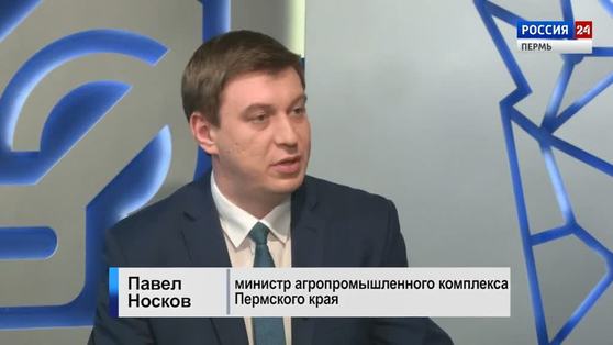 Гость студии: Павел Носков