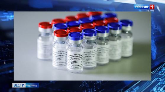Массовая вакцинация от коронавируса в Прикамье запланирована на начало следующего года