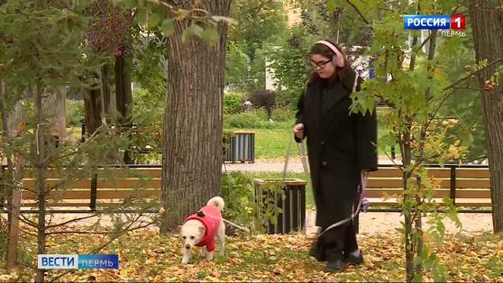 В Прикамье будет прохладно и пасмурно