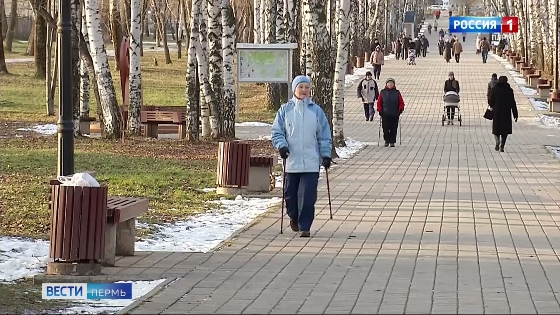 В Перми закрылся на реконструкцию сад им. Миндовского