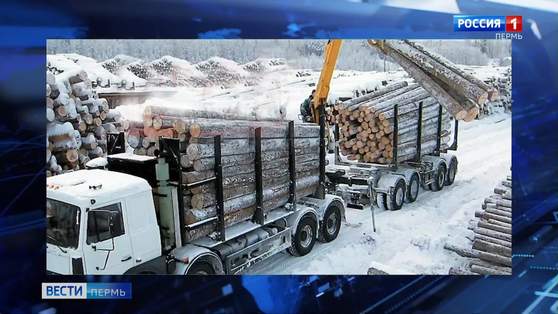 Законодатели Прикамья обсудят систему "Умный лес"