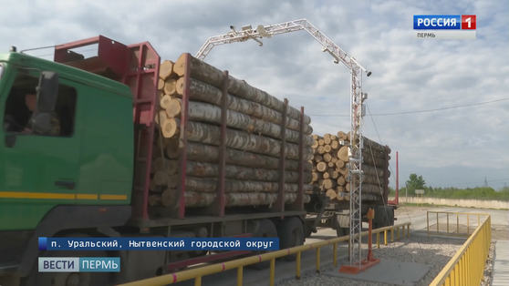 "Свеза": инвестиции в производство приносят свои плоды
