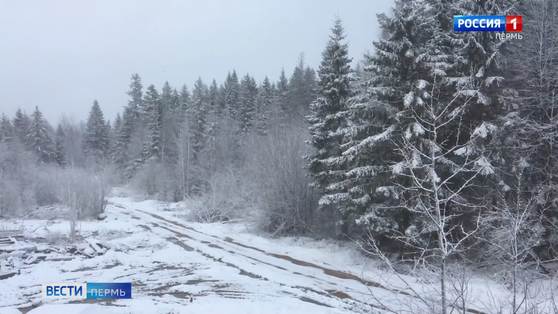В Прикамье вернулась зима