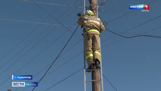 В Кудымкаре пожарные достали кота с 9-метрового столба