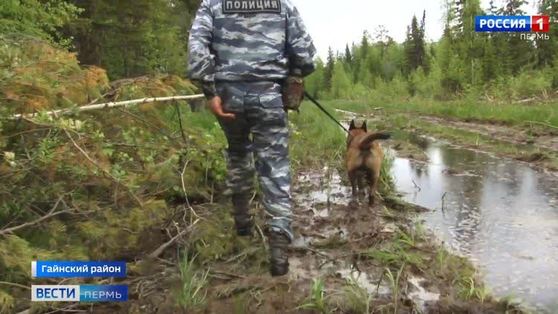 Чудесное спасение: подробности поисков 10-летнего мальчика в Гайнском районе