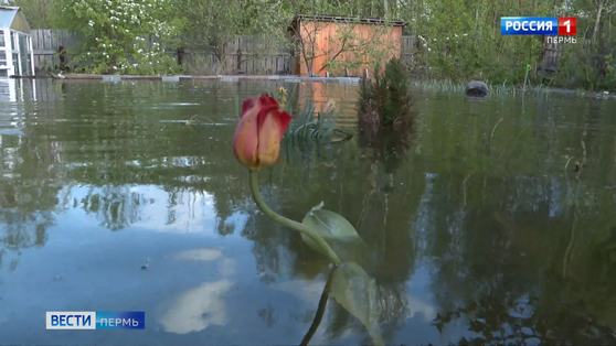В МЧС рассказали о ситуации с паводком