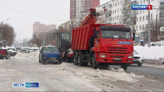 Циклон Viviana принес в Прикамье сильный снегопад