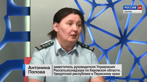 Гость студии: о нашествии жуков уссурийского полиграфа