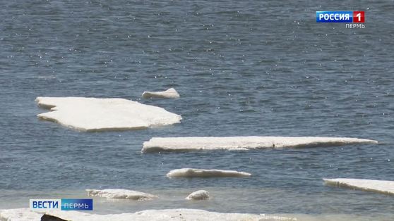 В МЧС рассказали о гидрологической обстановке в крае