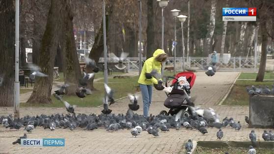 В Перми ограничили посещение мест массового отдыха
