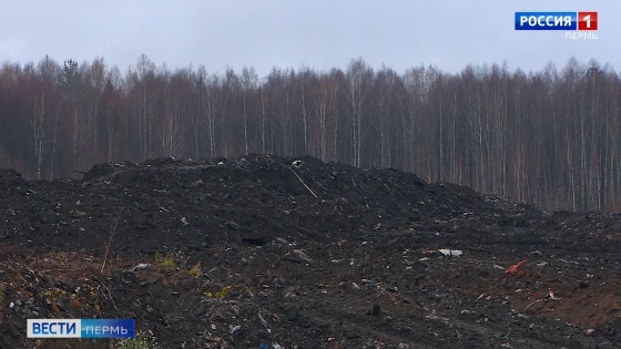В Прикамье продолжают ликвидацию крупных нелегальных свалок
