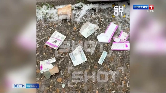 Возбуждено уголовное дело по факту получения несовершеннолетним ожога от химической ловушки