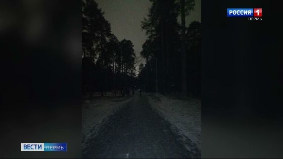 В Черняевском лесу не горят фонари на аллее