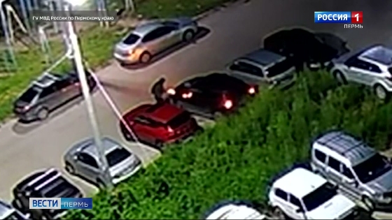 Жителя Краснокамска подозревают в поджоге автомобилей