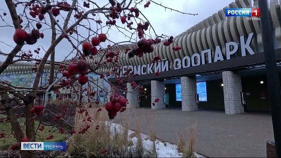 Парламентский урок прошел в Пермском зоопарке