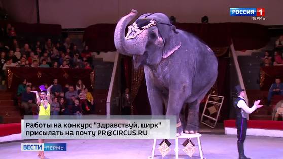 Юных пермяков приглашают стать соавторами книги о цирке